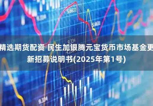 精选期货配资 民生加银腾元宝货币市场基金更新招募说明书(2025年第1号)