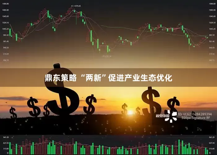 鼎东策略 “两新”促进产业生态优化