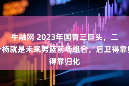 牛融网 2023年国青三巨头，二王一杨就是未来男篮前场组合，后卫得靠归化